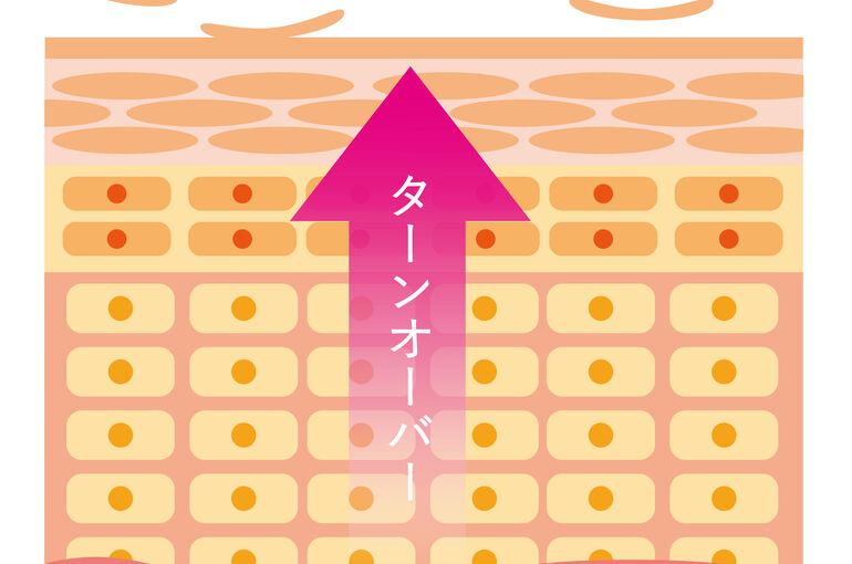 ターンオーバー