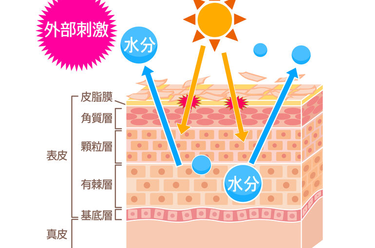 外部刺激肌