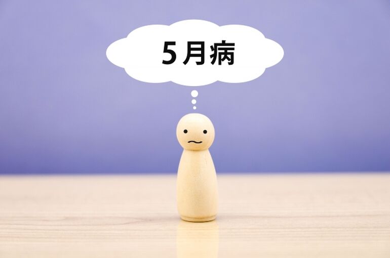 26428593_s