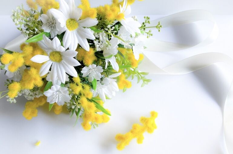 mimoza💐